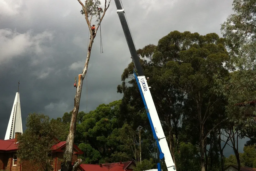 Mobile crane lifting a tall eucalypt out beside a brick church