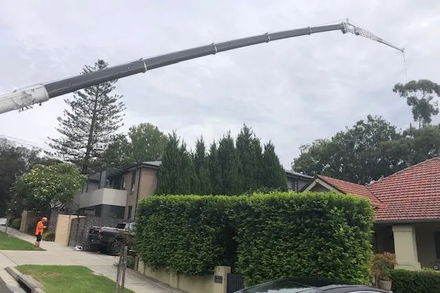 Tall street hedge beside a driveway with a crane working behind it